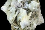 Blue Bladed Barite and Marcasite Association - Morocco #84878-3